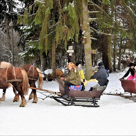 Wigierski Park Narodowy Lägenhet Suwałki Exteriör bild