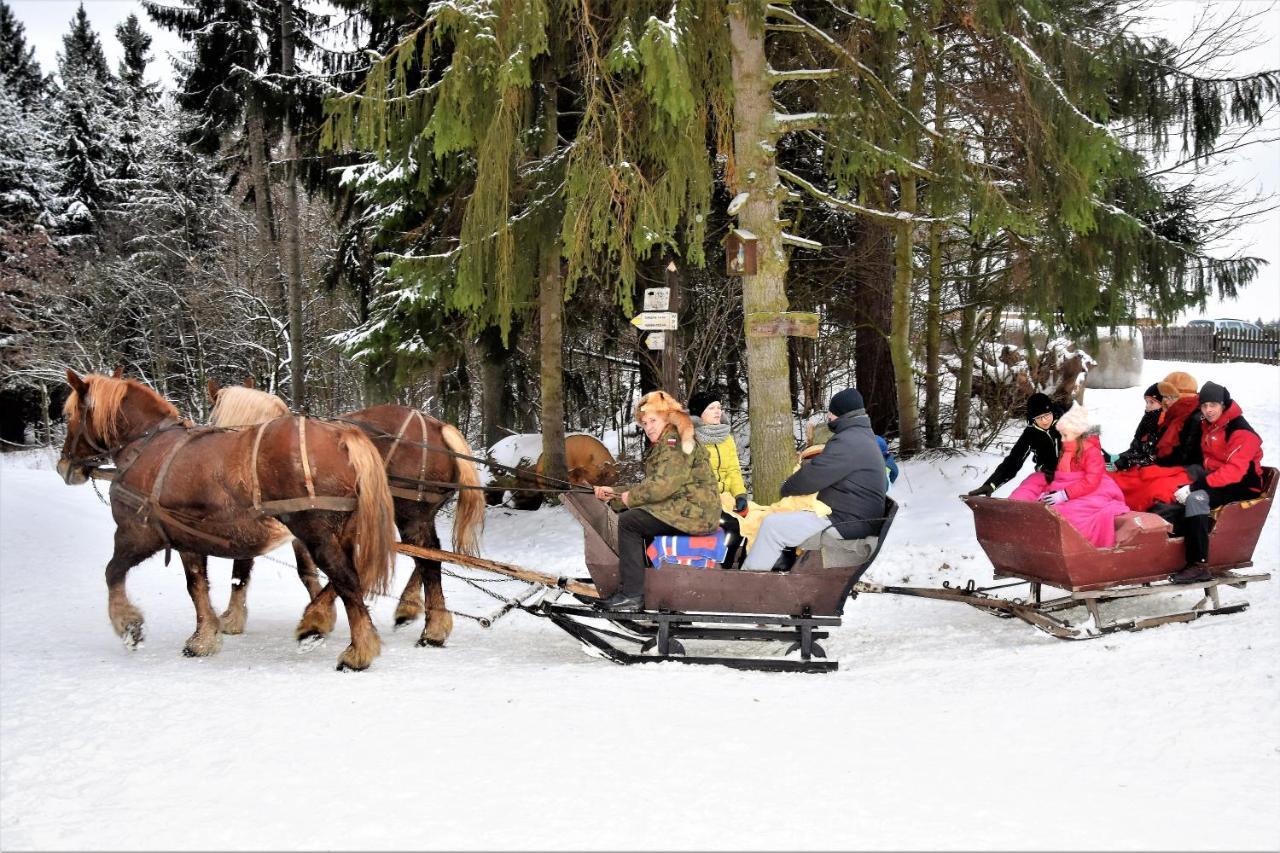 Wigierski Park Narodowy Suwałki Exteriör bild