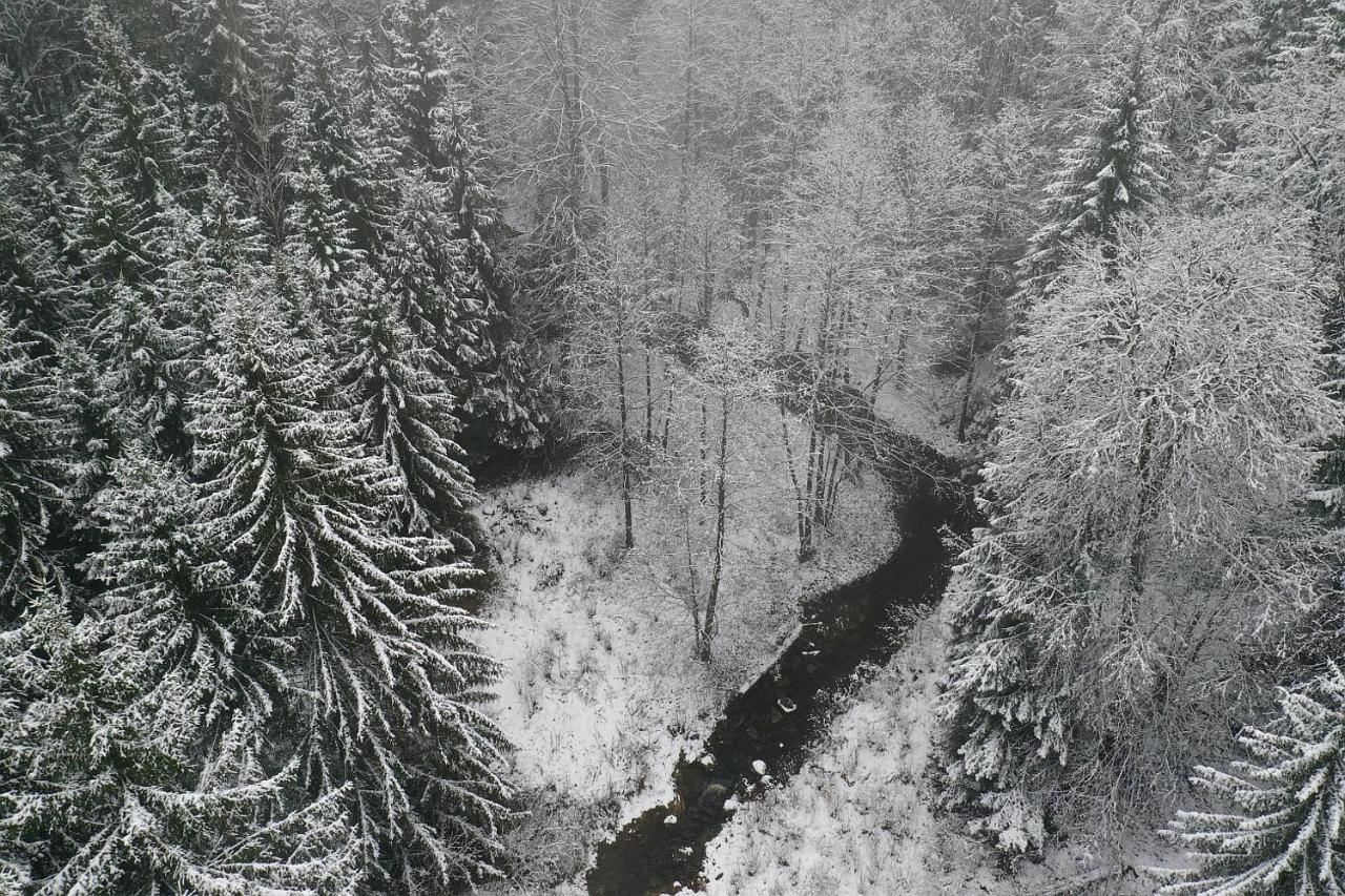 Wigierski Park Narodowy Suwałki Exteriör bild