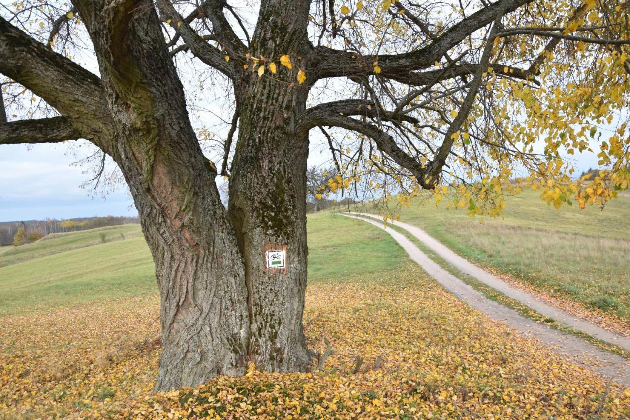Wigierski Park Narodowy Suwałki Exteriör bild