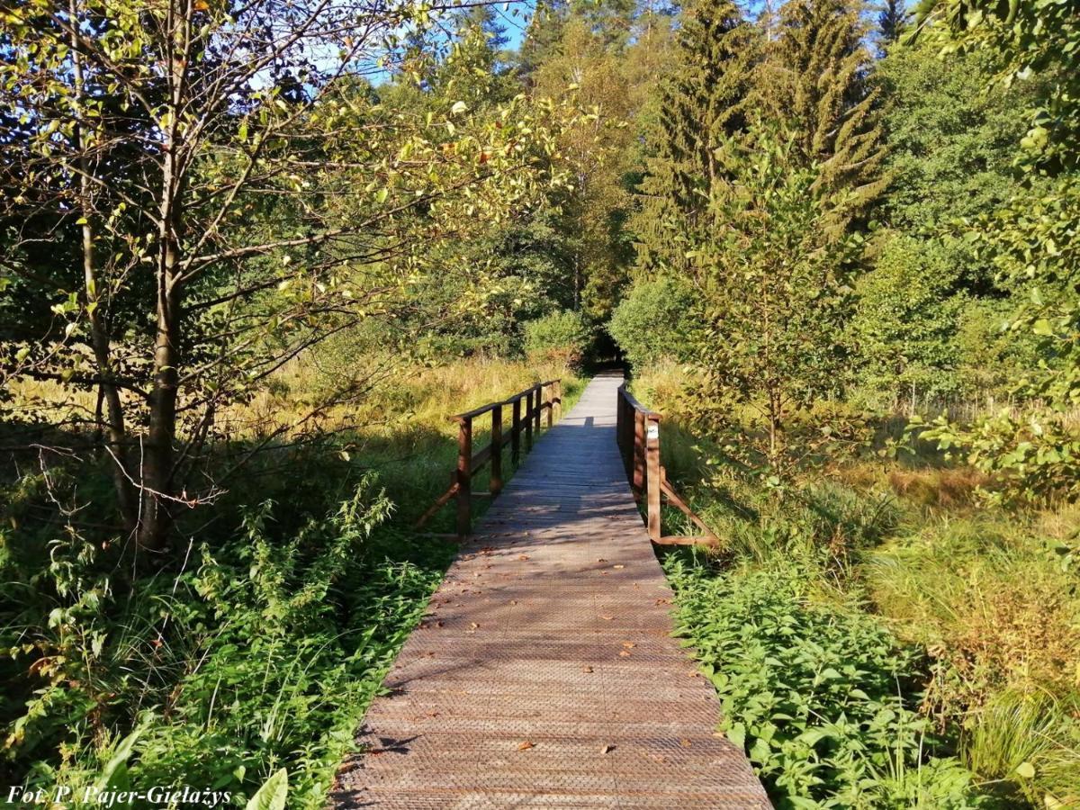 Wigierski Park Narodowy Suwałki Exteriör bild